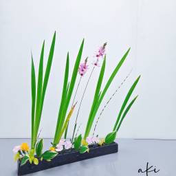 課程圖片